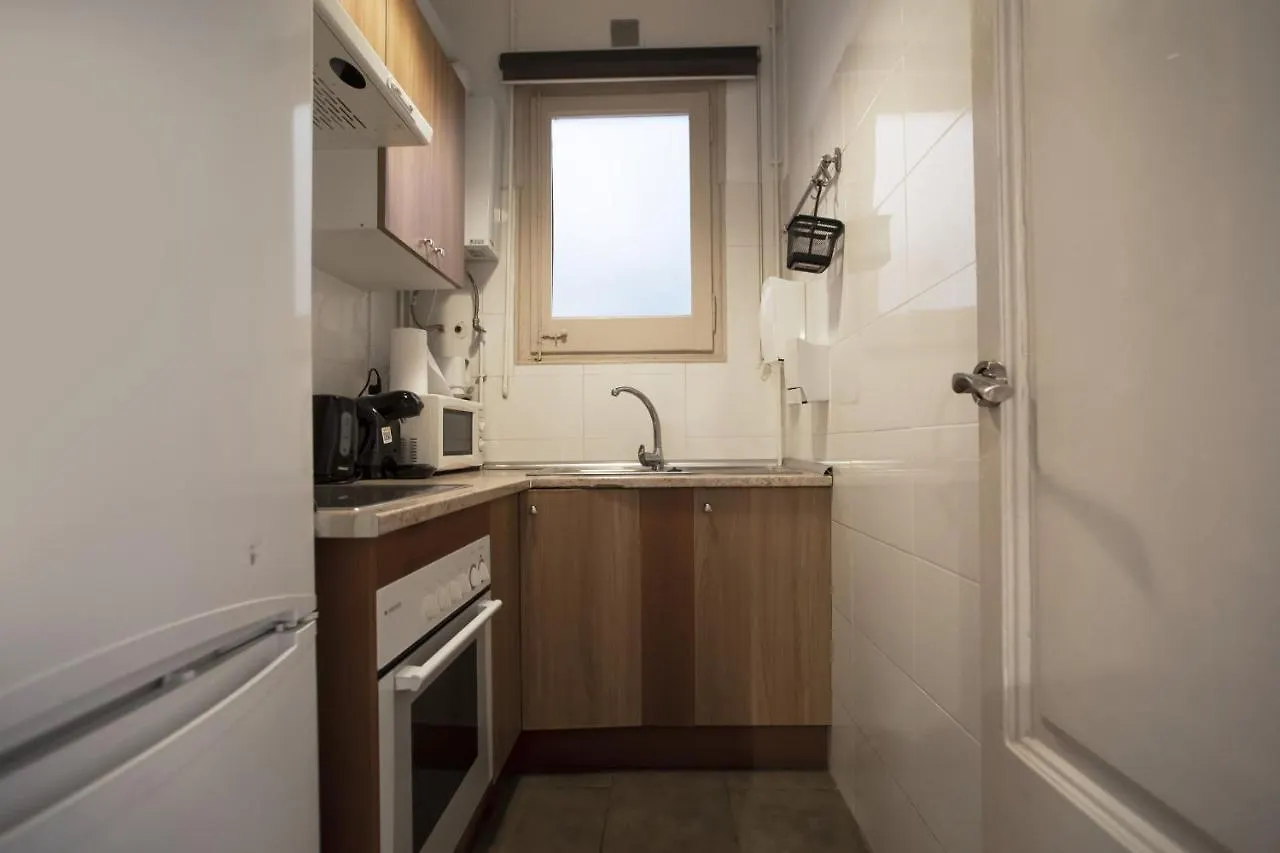 32Par1009 - Big And Spacious Apartment Downtown Barcelona Španělsko