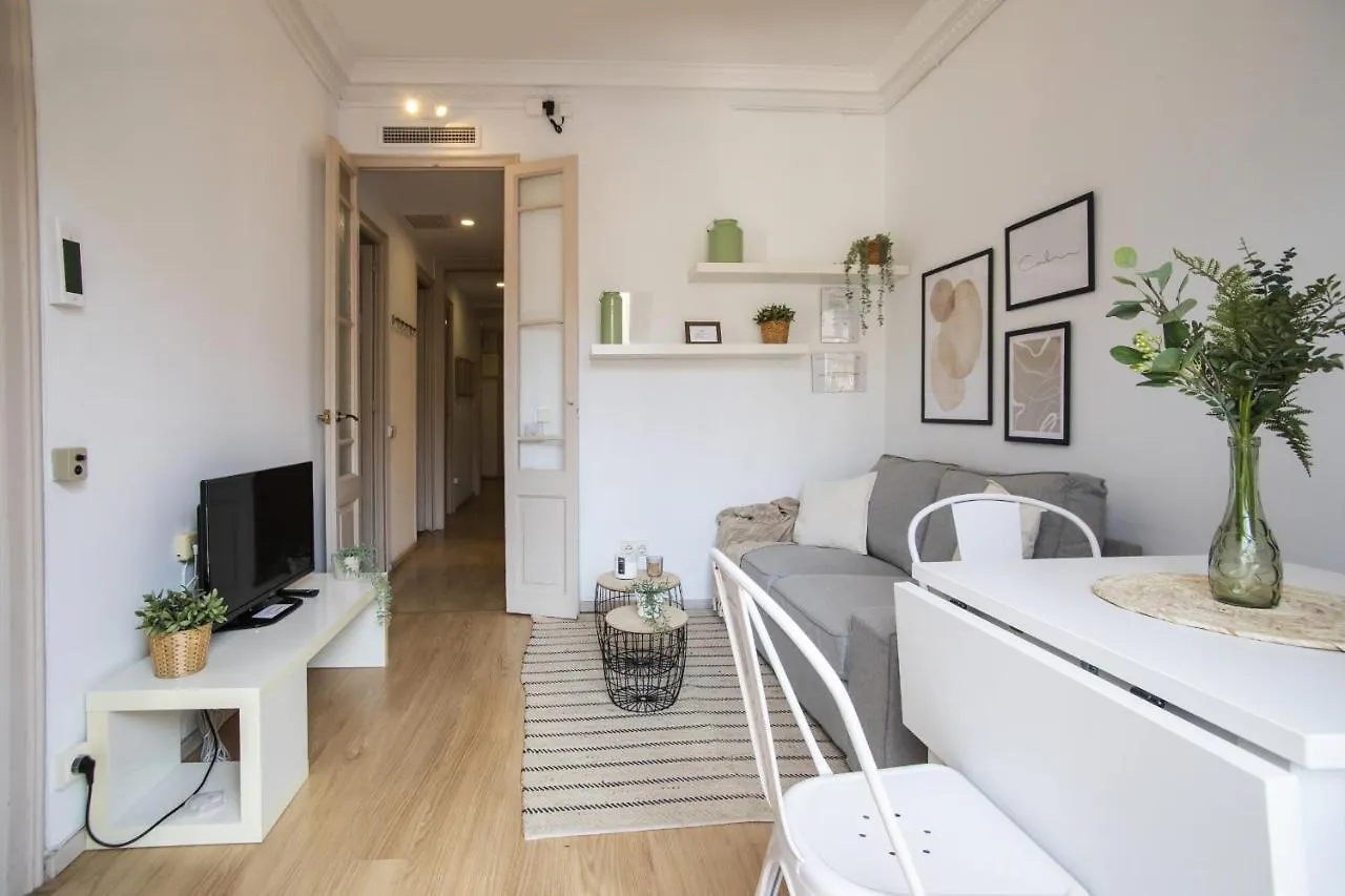 32Par1009 - Big And Spacious Apartment Downtown Barcelona