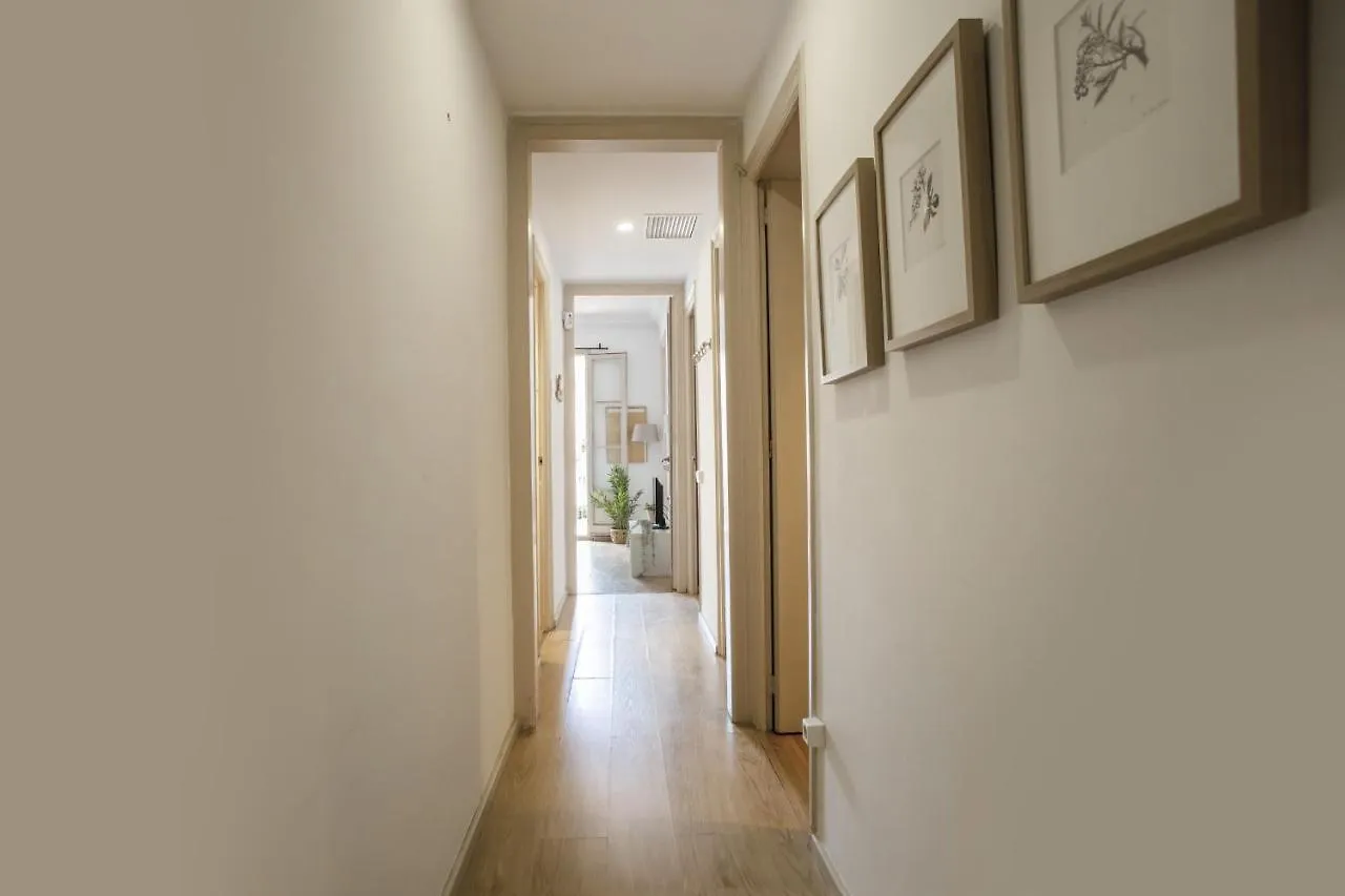 32Par1009 - Big And Spacious Apartment Downtown Barcelona 0*,  Spain